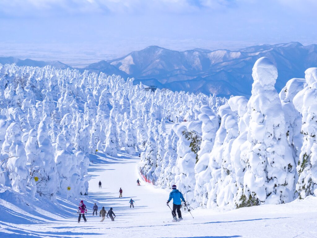 日本藏王溫泉滑雪場，美景中滑雪